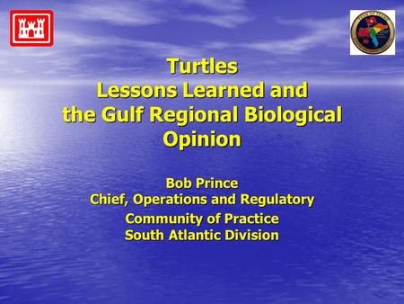 Turtles Lessons Learned and the Gulf Regional Biological Opinion Bob Prince Chief, Operations and Regulatory Community of Practice South Atlantic Division.