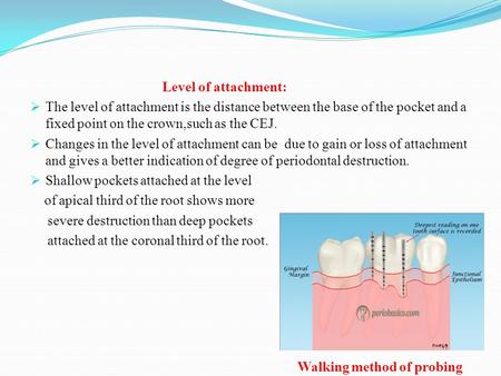 Level of attachment:  The level of attachment is the distance between the base of the pocket and a fixed point on the crown,such as the CEJ.  Changes.