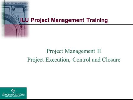 ILU Project Management Training