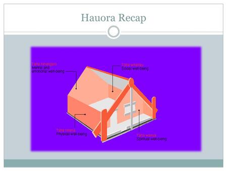 Hauora Recap.