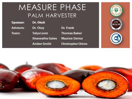 MEASURE PHASE PALM HARVESTER Sponsor:Dr. Okoli Advisors:Dr. ChuyDr. Frank Team:Talya LevinThomas Baker Shaneatha GatesMaurice Derius Amber SmithChristopher.