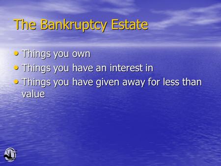 The Bankruptcy Estate Things you own Things you own Things you have an interest in Things you have an interest in Things you have given away for less than.