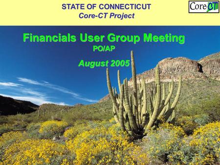 STATE OF CONNECTICUT Core-CT Project Financials User Group Meeting PO/AP August 2005.