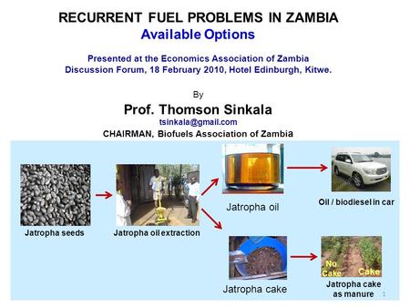 Jatropha seedsJatropha oil extraction Jatropha oil Oil / biodiesel in car Jatropha cake Jatropha cake as manure Cake No Cake RECURRENT FUEL PROBLEMS IN.