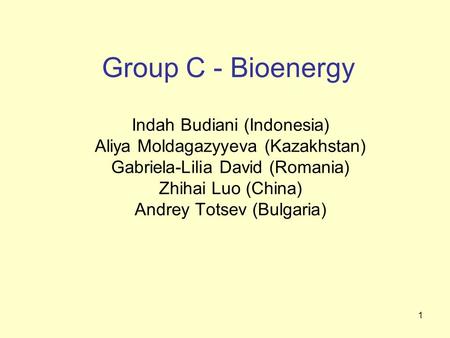 1 Group C - Bioenergy Indah Budiani (Indonesia) Aliya Moldagazyyeva (Kazakhstan) Gabriela-Lilia David (Romania) Zhihai Luo (China) Andrey Totsev (Bulgaria)