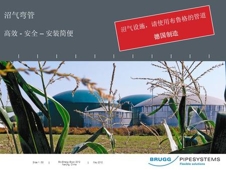 Slide 1 / 50 Bio-Energy-Expo 2012 Nanjing, China May 2012.