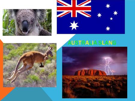 AUSTRALIA SLANGAUSTRALIA SLANG. WHEN VISITING AUSTRALIA When visiting Australia you may have trouble understanding us when we speak. Australians use a.