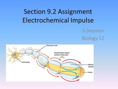 Section 9.2 Assignment Electrochemical Impulse