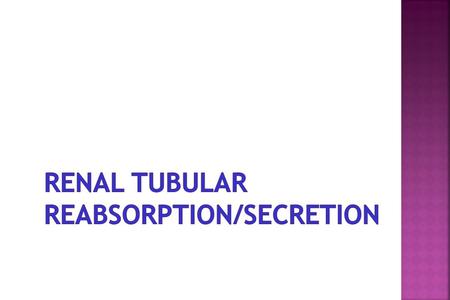  Excretion refers to the removal of solutes and water from the body in urine  Reabsorption (movement from tubular fluid to peritubular blood) and, 