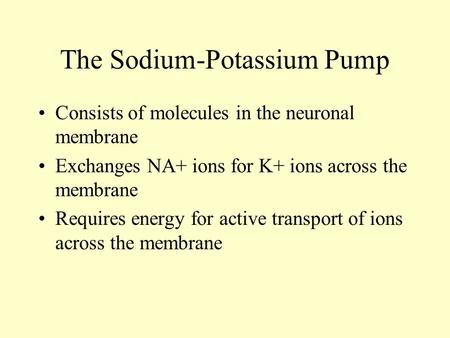 The Sodium-Potassium Pump