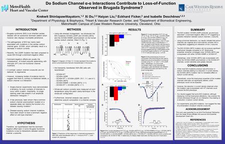 WT (0.3 µg)WT (0.15 µg)WT+L325RL325R * * Using site directed mutagenesis, we introduced the BrS mutations SCN5A-L325R and SCN5A-L567Q, and the SCN5A-H558R.