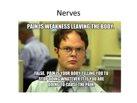 Nerves. By the end of this class you should understand: The divisions of the nervous system and how they interconnect The general role of glial cells.