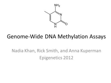 Genome-Wide DNA Methylation Assays Nadia Khan, Rick Smith, and Anna Kuperman Epigenetics 2012.