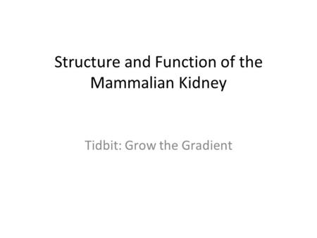 Structure and Function of the Mammalian Kidney Tidbit: Grow the Gradient.