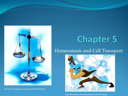 Homeostasis and Cell Transport