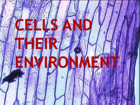 Cells and Their Environment