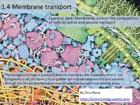 By Chris Paine https://bioknowledgy.weebly.com/ 1.4 Membrane transport Essential idea: Membranes control the composition of cells by active and passive.