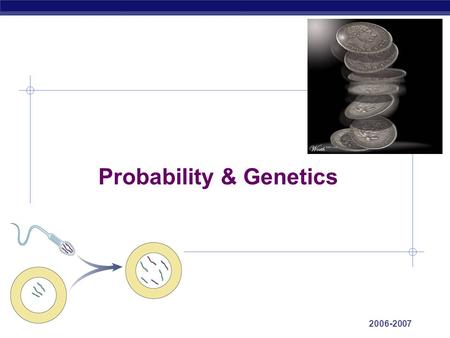 Probability & Genetics