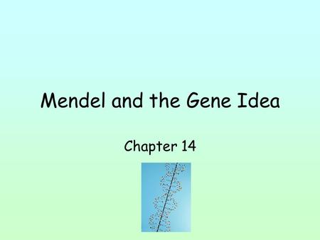 Mendel and the Gene Idea