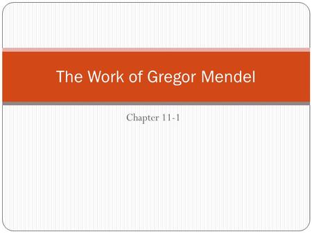 The Work of Gregor Mendel