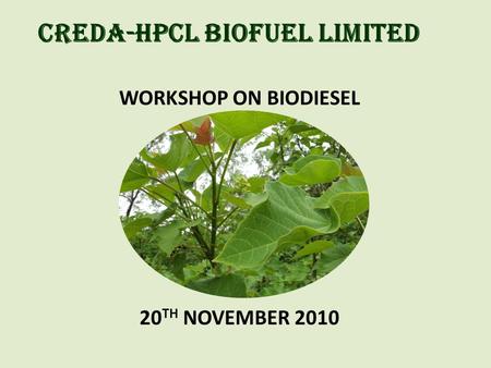 CREDA-HPCL BIOFUEL LIMITED WORKSHOP ON BIODIESEL 20 TH NOVEMBER 2010.