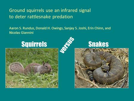 Ground squirrels use an infrared signal to deter rattlesnake predation Aaron S. Rundus, Donald H. Owings, Sanjay S. Joshi, Erin Chinn, and Nicolas Giannini.