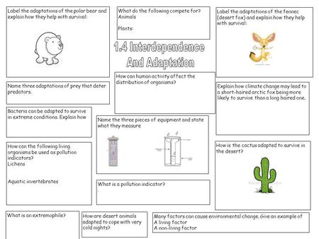 1.4 Interdependence And Adaptation