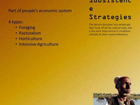 Subsistenc e Strategies This lecture discusses how people get their food. Of all the cultural traits, this is the most important as it conditions virtually.