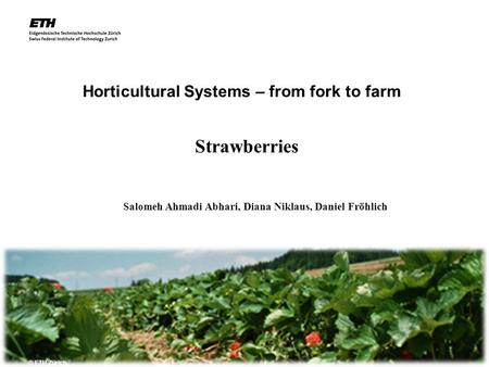 2.11.2007 Horticultural Systems – from fork to farm © ETH Zürich Strawberries Salomeh Ahmadi Abhari, Diana Niklaus, Daniel Fröhlich.