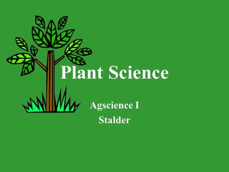 Plant Science Agscience I Stalder.