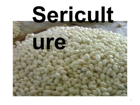 Sericulture.