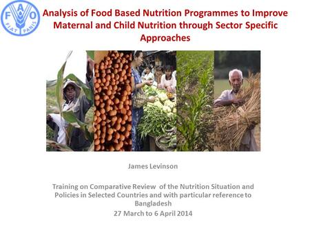 Analysis of Food Based Nutrition Programmes to Improve Maternal and Child Nutrition through Sector Specific Approaches James Levinson Training on Comparative.