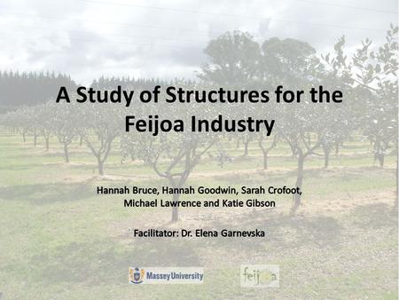 A Study of Structures for the Feijoa Industry. Client Introduction New Zealand Feijoa Growers Association (NZFGA) 200 Grower Members Funded by levies.