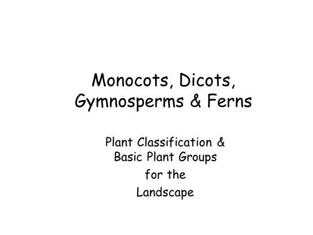 Monocots, Dicots, Gymnosperms & Ferns