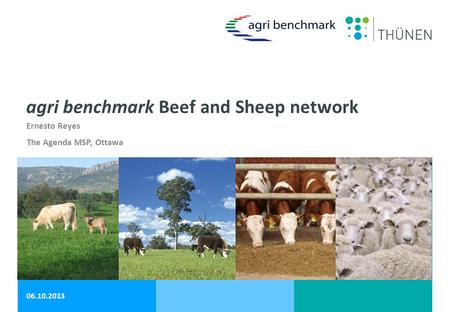 agri benchmark Beef and Sheep network