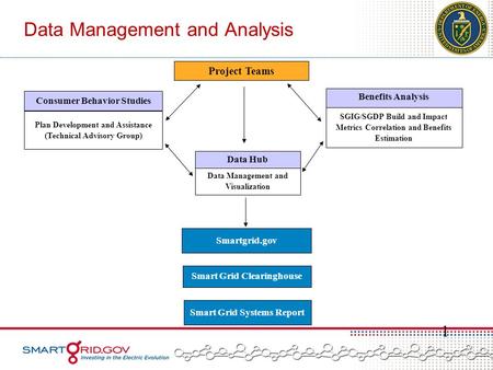 Data Management and Analysis 1 Consumer Behavior Studies Plan Development and Assistance (Technical Advisory Group) SGIG/SGDP Build and Impact Metrics.