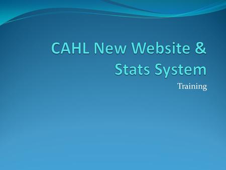 Training. History Two different domain charges One domain displays webpage information (www.cahlhockey.com) One domain houses our database or portal (