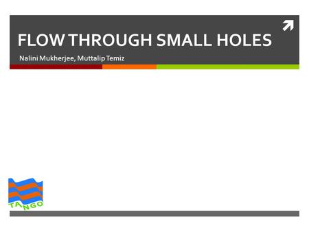  FLOW THROUGH SMALL HOLES Nalini Mukherjee, Muttalip Temiz.