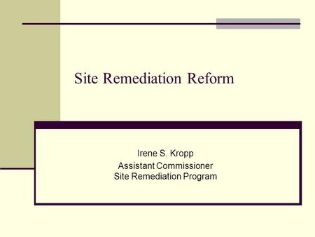 Site Remediation Reform Irene S. Kropp Assistant Commissioner Site Remediation Program.