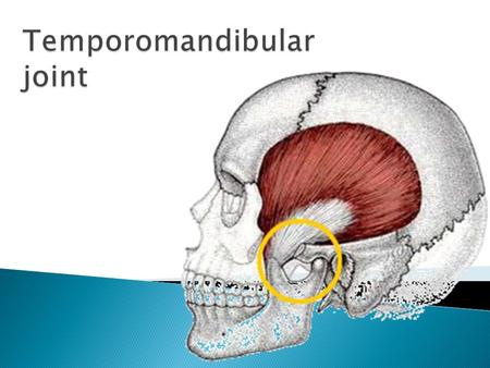 Temporomandibular joint