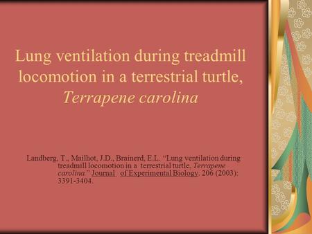 Lung ventilation during treadmill locomotion in a terrestrial turtle, Terrapene carolina Landberg, T., Mailhot, J.D., Brainerd, E.L. “Lung ventilation.