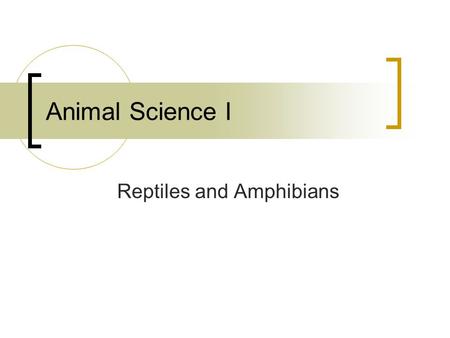 Reptiles and Amphibians