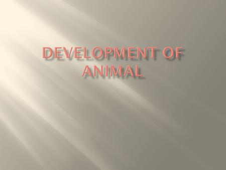  Gestation: carrying one or more embryos in uterus.  Humans: 266 days  Rodents: 21 d  Dogs: 60 d  Cows: 270  Elephant: 600 days.