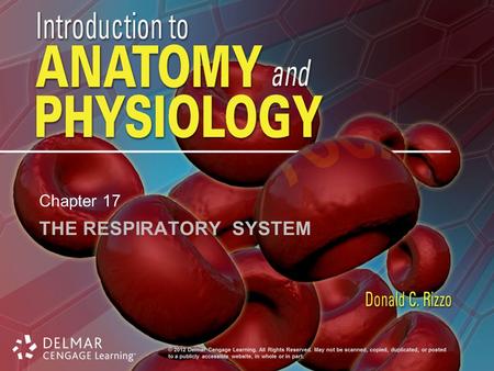 The Respiratory System