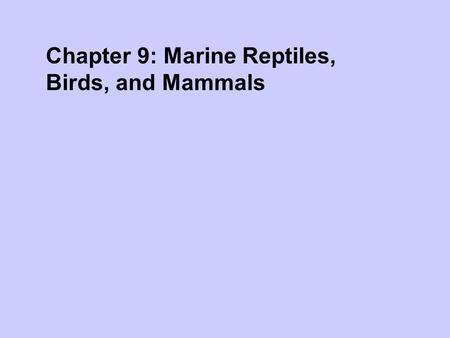 Chapter 9: Marine Reptiles, Birds, and Mammals