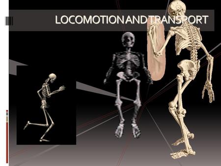 LOCOMOTION AND TRANSPORT