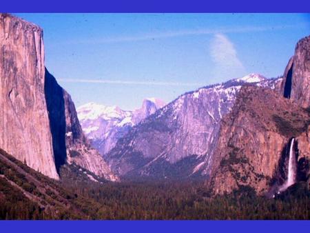 Vegetation Types in Yosemite Valley Vegetation TypeHectares% Mixed Conifer95049 Meadow1478 Riparian20811 Black oak985 Live oak41021 Other1286.