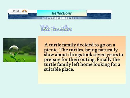 A turtle family decided to go on a picnic. The turtles, being naturally slow about things took seven years to prepare for their outing. Finally the turtle.