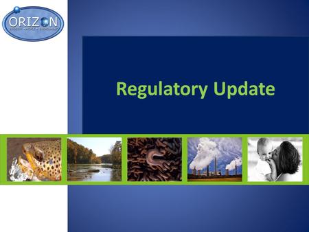 Regulatory Update. January Meeting Recap/Update Enforcement News -Wal-Mart -MSHA Advanced Notice -EPA – Clean Water Act (CWA) & EPD -OSHA – Stone, Clay,