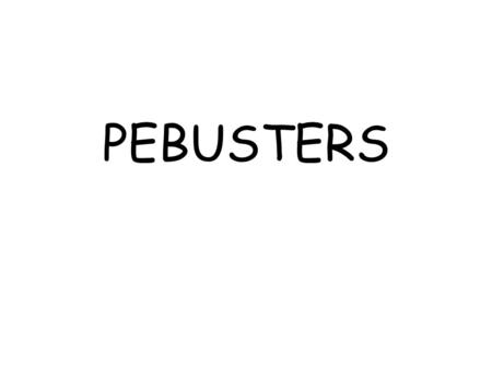 PEBUSTERS. R S D S C S&I E C RP A FA HAP D P GCM DFB C MT M S C I.